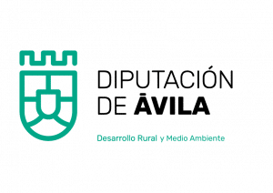 Diputacion de avila