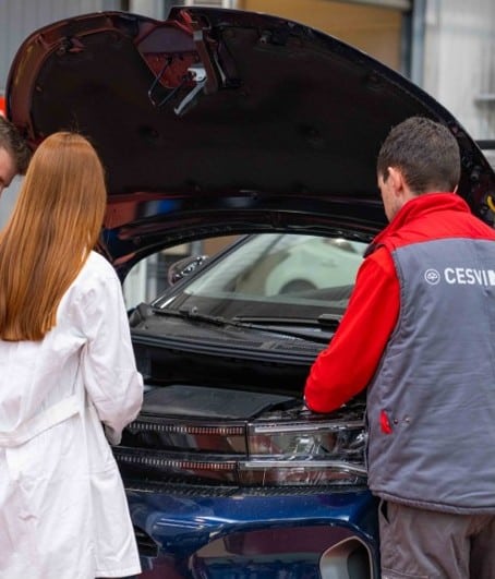 Vehículos industriales